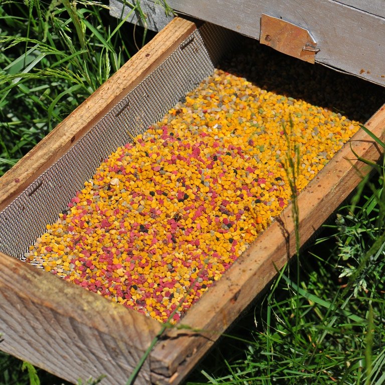 Frozen fresh Pollen for medicinal uses and cooking Oneline sale