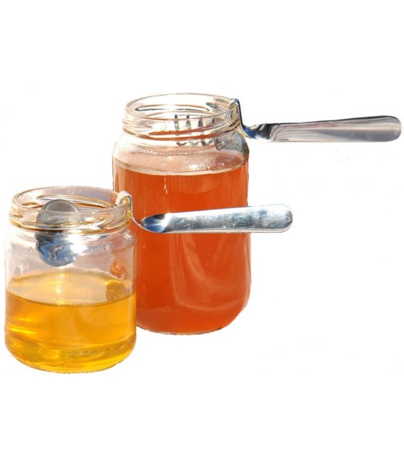 Set of 2 stainless steel spoons Honey