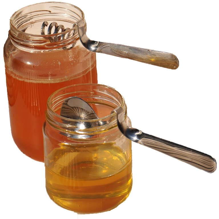 Cuillère à miel en inox (lot de 2)