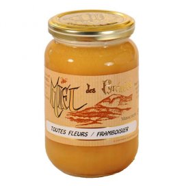 Miel de Framboisier 500g crémeux