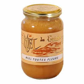 Creamed Mountain Wild Flower Honey 500g