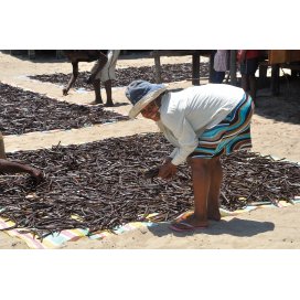 Vainilla de Madagascar