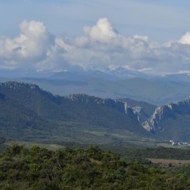 Miel de Garrigue-Dorycnium