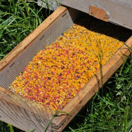 Un panier de trappe a pollen