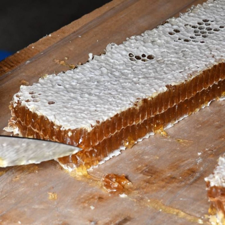 Miel en rayon - Miel en brèche - Origine France
