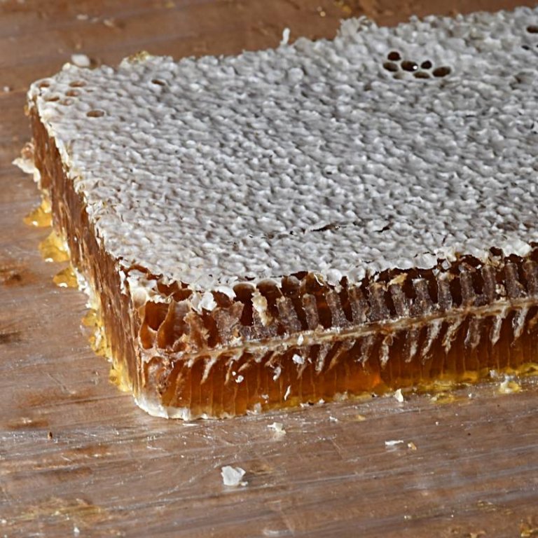 Miel en panal - Origen Francia