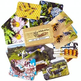 Jeu de Memory des abeilles