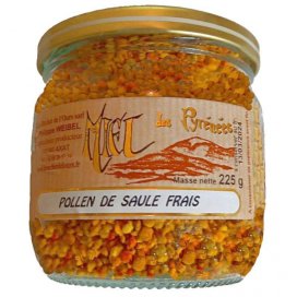 Pollen frais de Saules