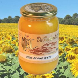 Miel de Girasol