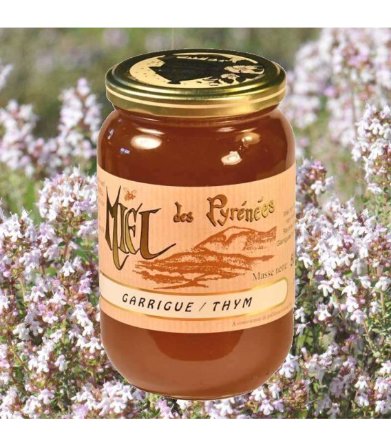 Miel de Garrigue-Thym