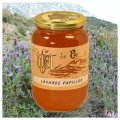 French Lavender Honey