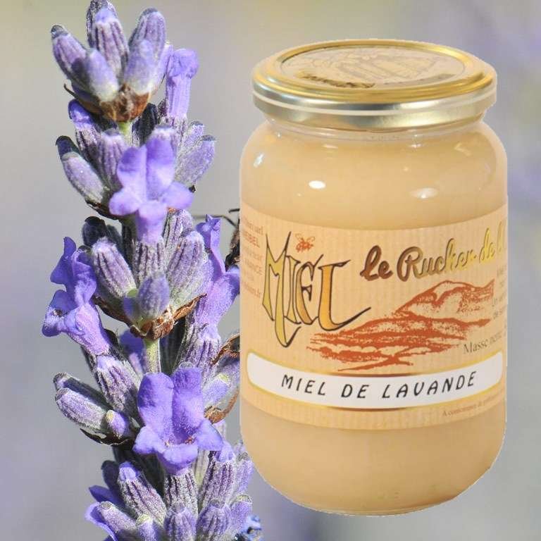 Miel de Lavande récolté en Provence par l'apiculteur - liquide, solide ou  crémeux