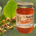 Buckthorn Honey
