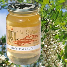 Acacia Honey