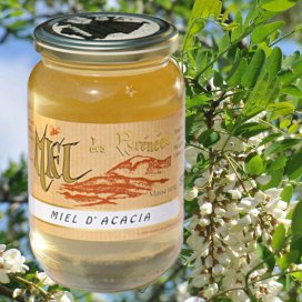Miel de Acacia