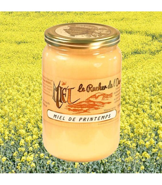 Miel de Printemps à Tartiner