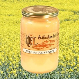 Miel de Printemps à Tartiner