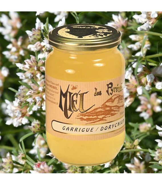 Miel de Dorycnium