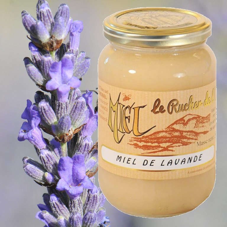 Miel de Lavande récolté en Provence par l'apiculteur - liquide, solide ou  crémeux