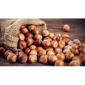 Hazelnut Honey