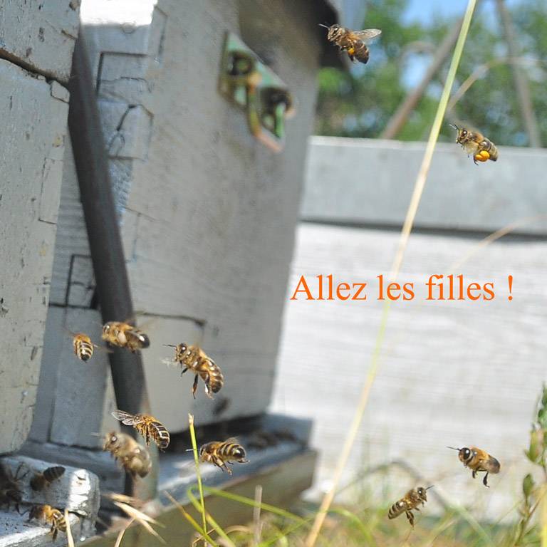 Allez-les-filles.jpg