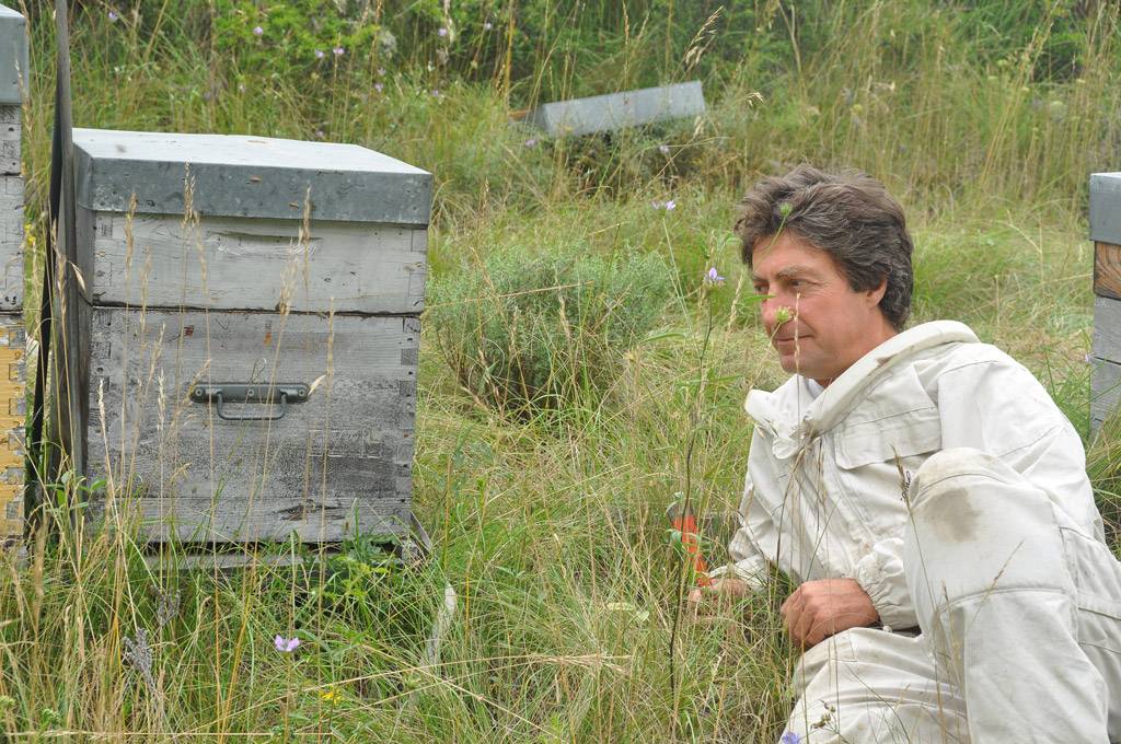 l'apiculteur, on dit toujours que les patrons travaillent dur...